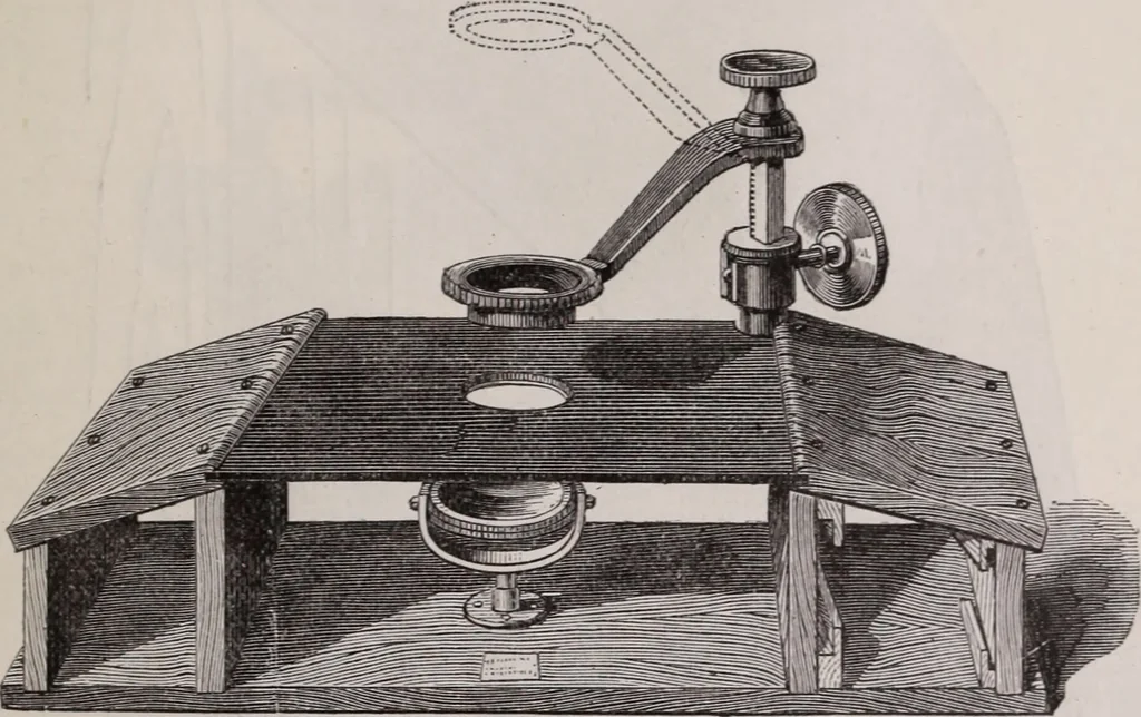 An illustration from The microscope and its revelations, 1891, leaf 230