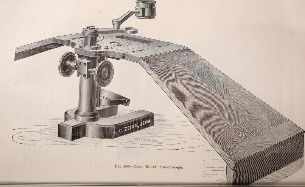 An illustration from The microscope and its revelations, 1891, leaf 231