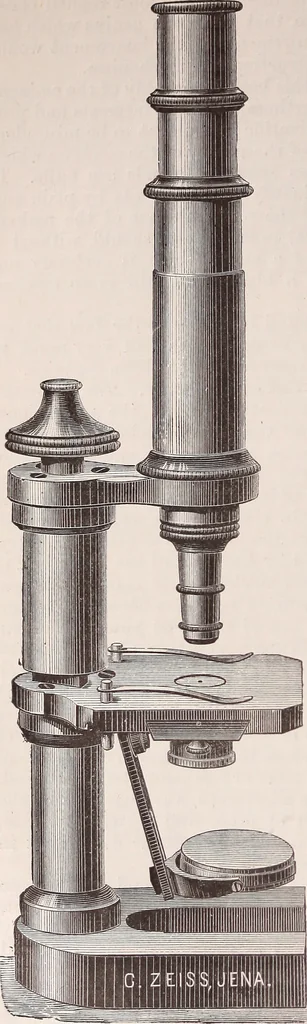 An illustration from The microscope and its revelations, 1891, leaf 235
