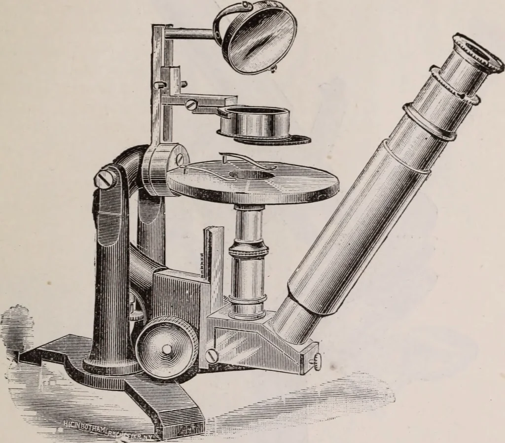An illustration from The microscope and its revelations, 1891, leaf 242