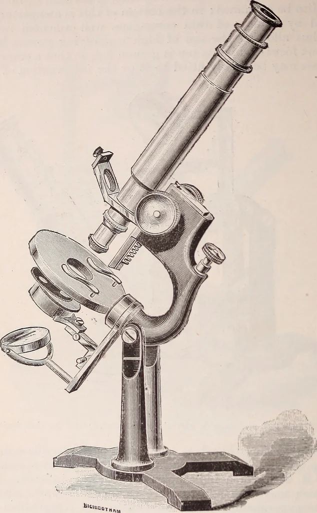 An illustration from The microscope and its revelations, 1891, leaf 243