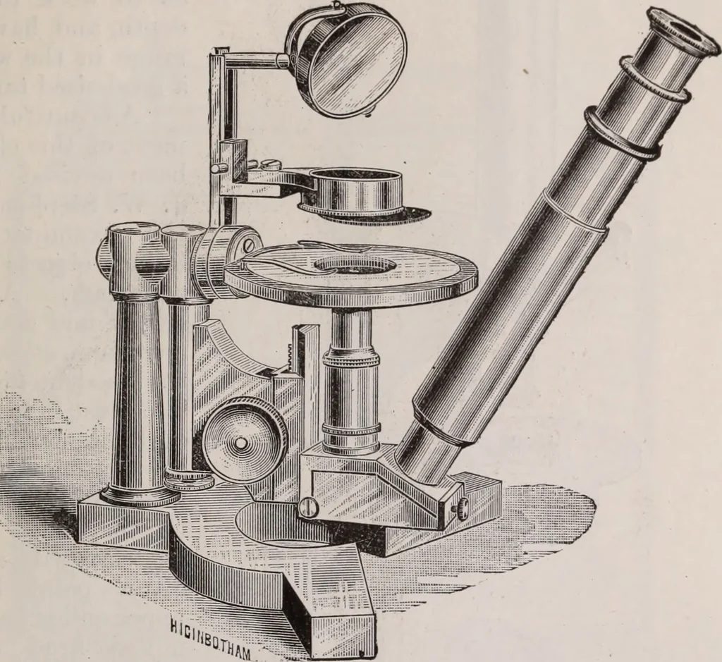 An illustration from The microscope and its revelations, 1891, leaf 244
