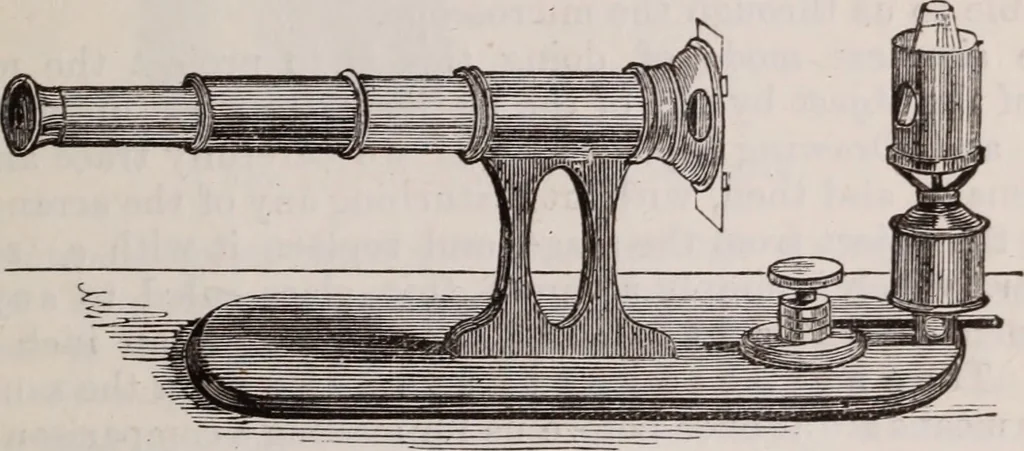 An illustration from The microscope and its revelations, 1891, leaf 250