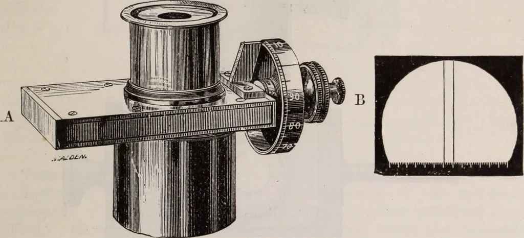 An illustration from The microscope and its revelations, 1891, leaf 252