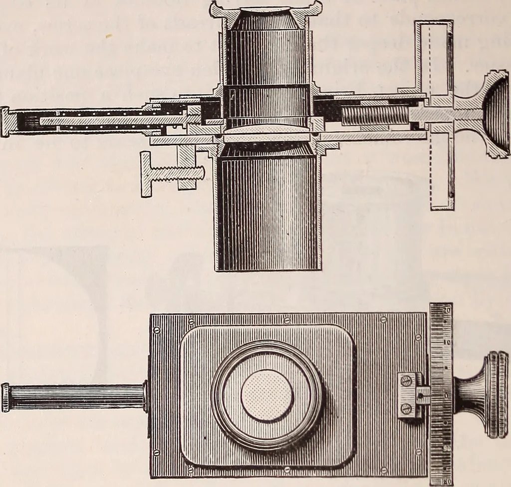 An illustration from The microscope and its revelations, 1891, leaf 253