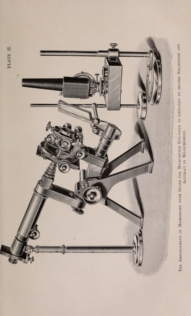 An illustration from The microscope and its revelations, 1891, leaf 256
