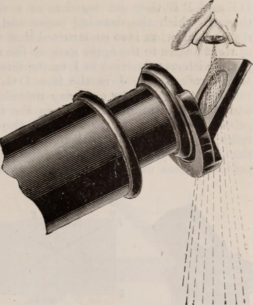 An illustration from The microscope and its revelations, 1891, leaf 262