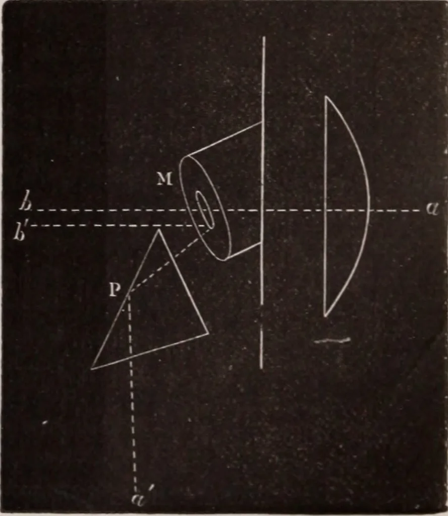 An illustration from The microscope and its revelations, 1891, leaf 262
