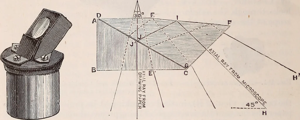An illustration from The microscope and its revelations, 1891, leaf 263