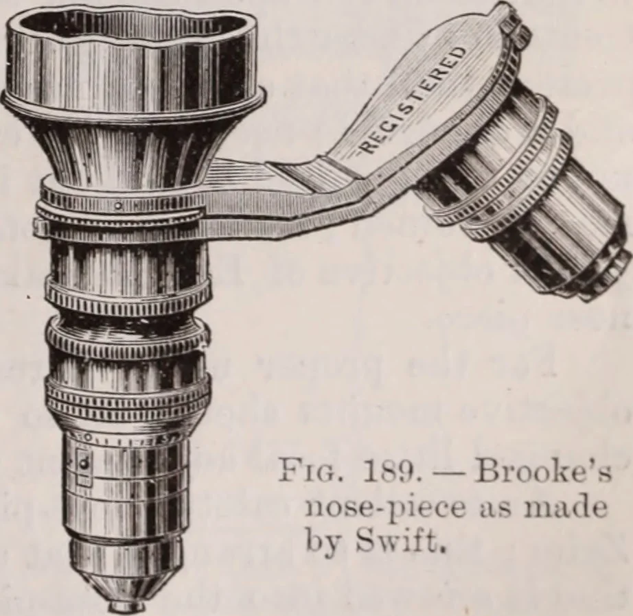 An illustration from The microscope and its revelations, 1891, leaf 270