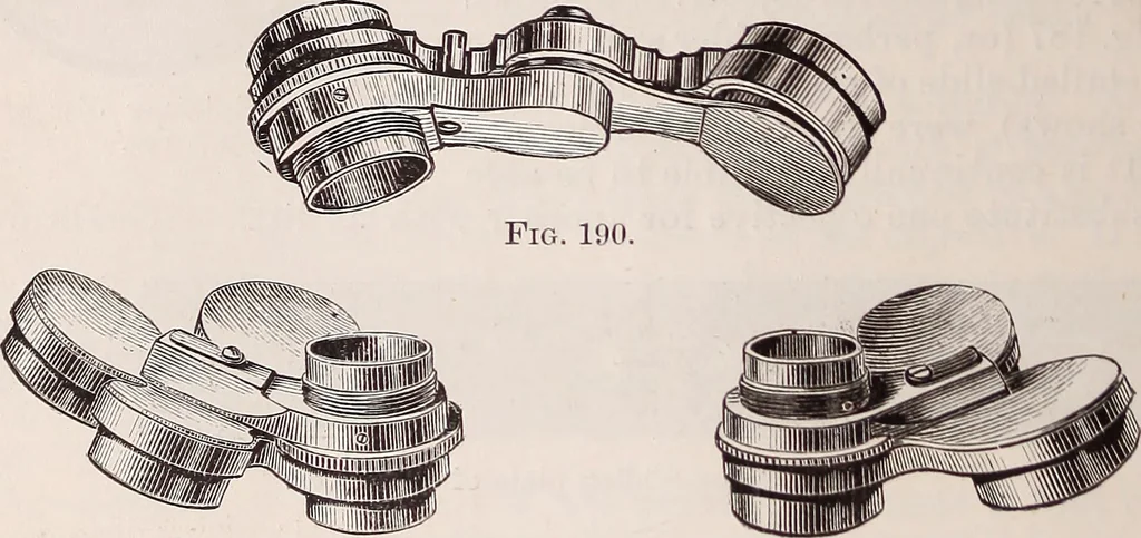 An illustration from The microscope and its revelations, 1891, leaf 271