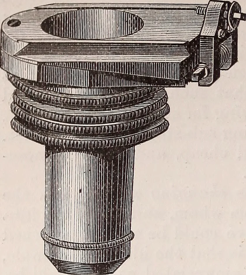 An illustration from The microscope and its revelations, 1891, leaf 273