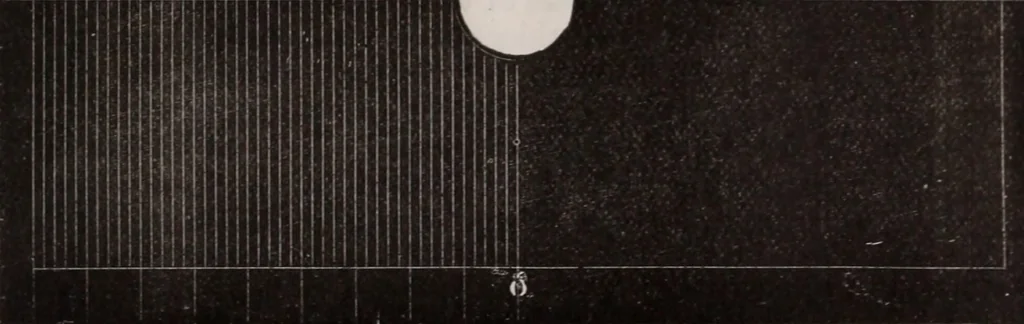 An illustration from The microscope and its revelations, 1891, leaf 276