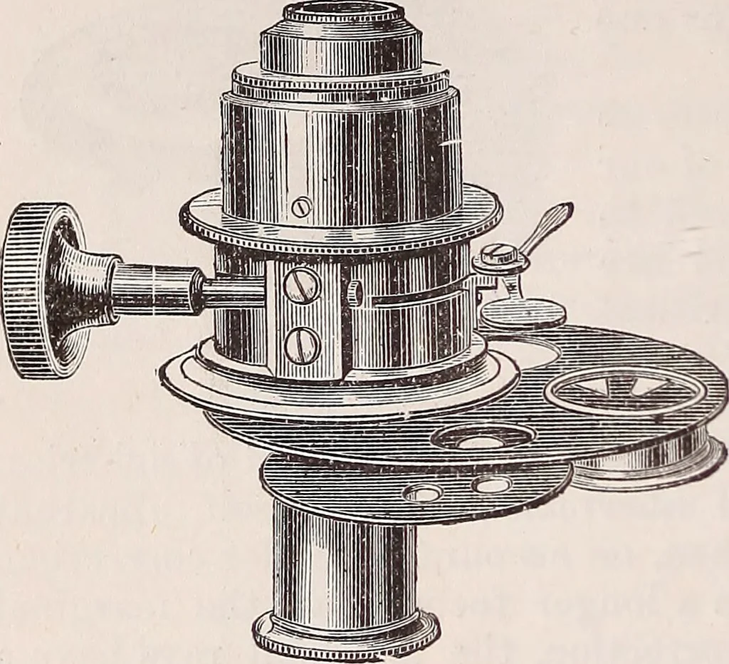 An illustration from The microscope and its revelations, 1891, leaf 281