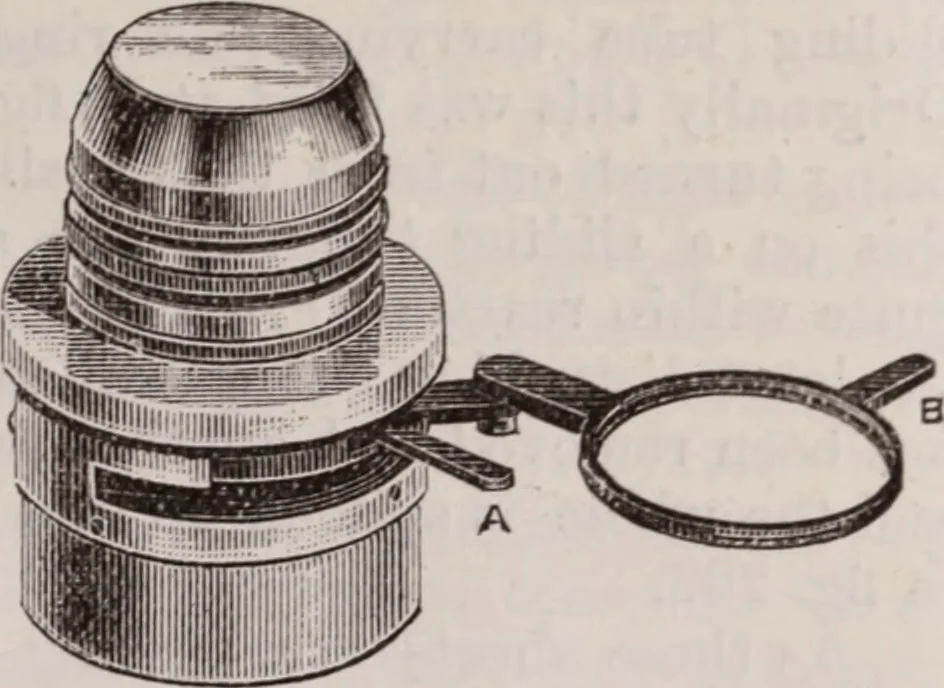 An illustration from The microscope and its revelations, 1891, leaf 282