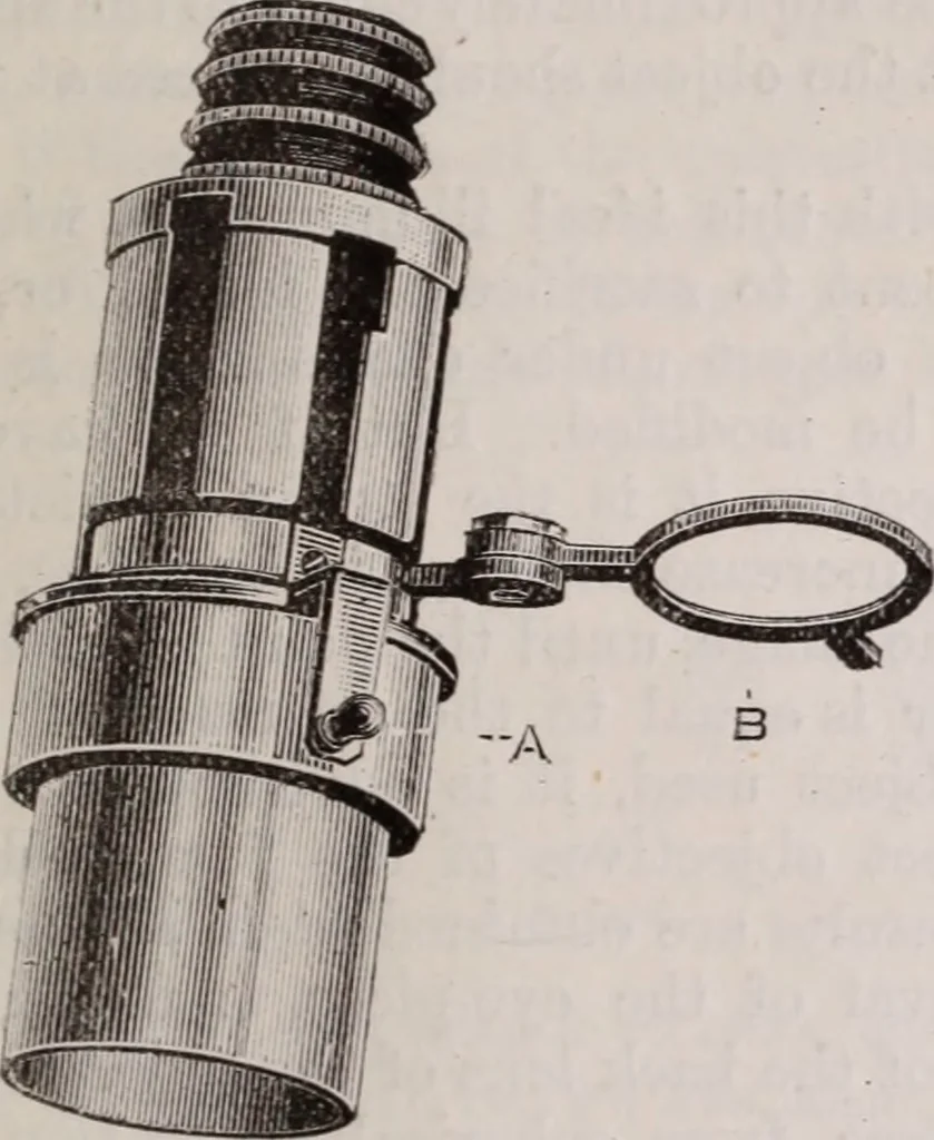 An illustration from The microscope and its revelations, 1891, leaf 282