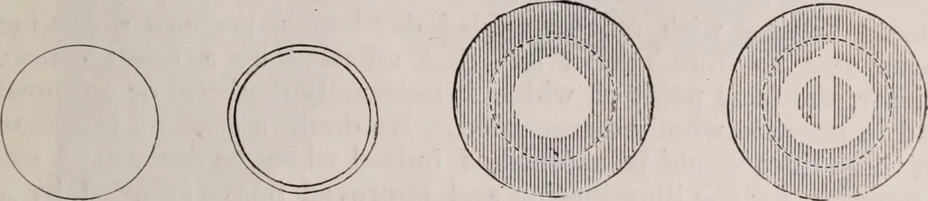 An illustration from The microscope and its revelations, 1891, leaf 284