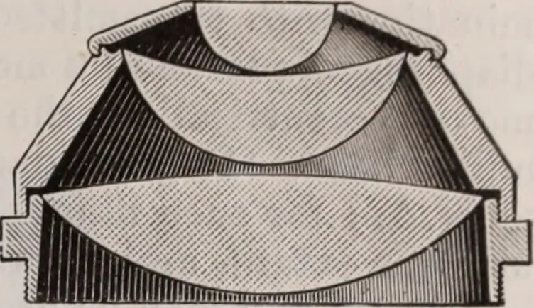 An illustration from The microscope and its revelations, 1891, leaf 286