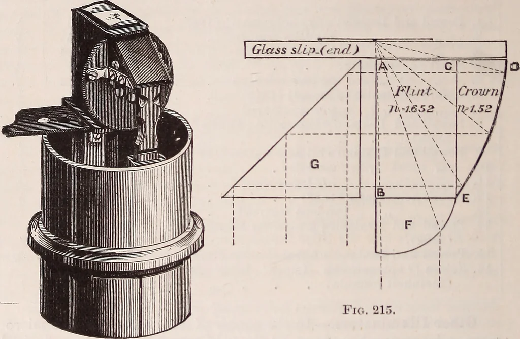 An illustration from The microscope and its revelations, 1891, leaf 293