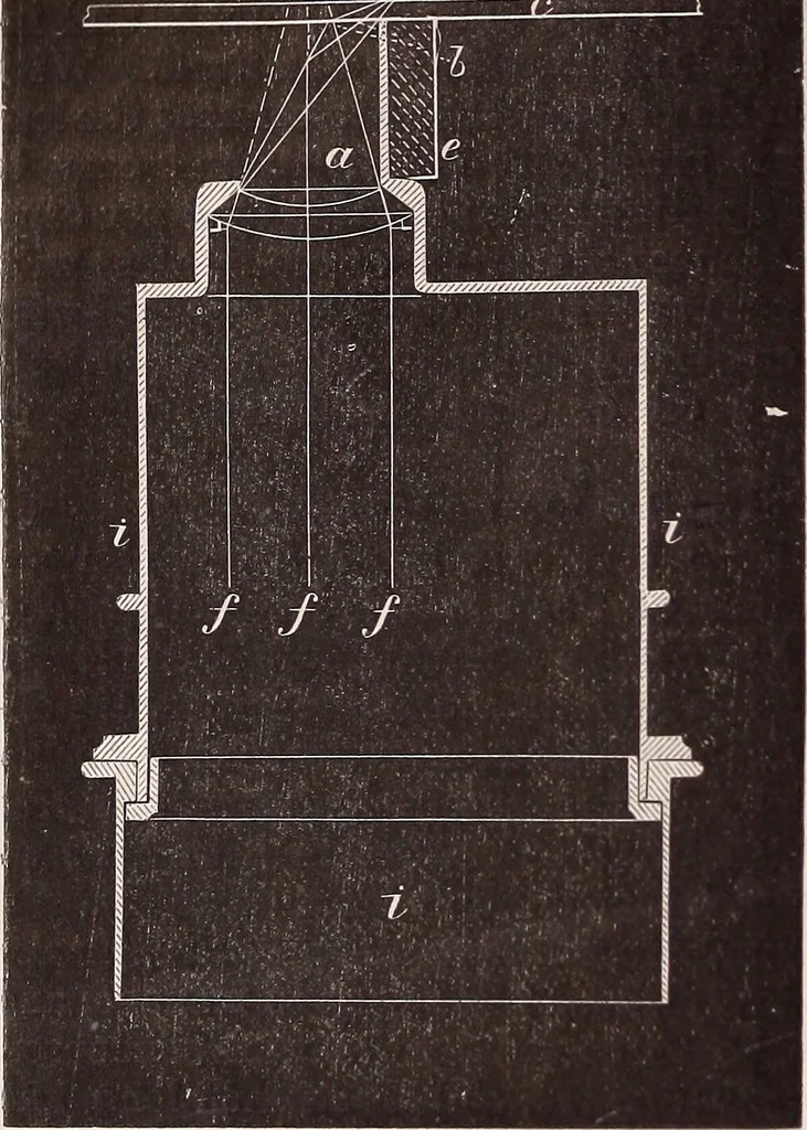 An illustration from The microscope and its revelations, 1891, leaf 295
