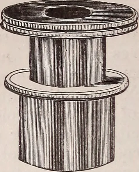 An illustration from The microscope and its revelations, 1891, leaf 299