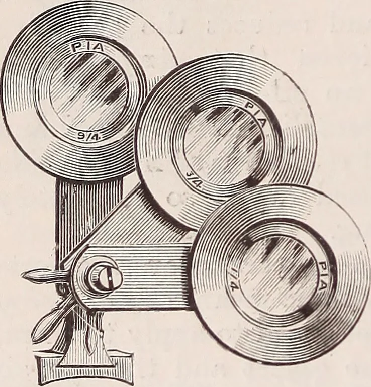 An illustration from The microscope and its revelations, 1891, leaf 299