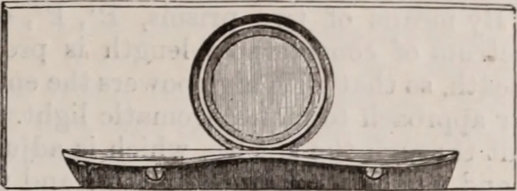An illustration from The microscope and its revelations, 1891, leaf 300