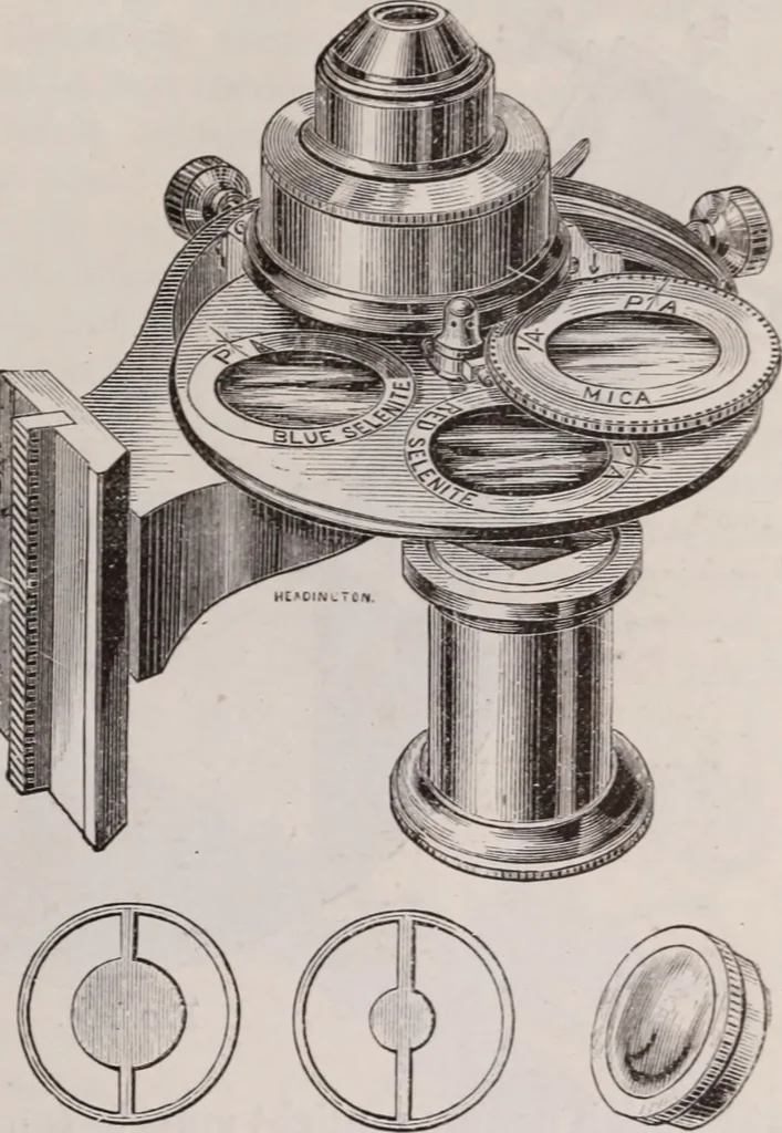 An illustration from The microscope and its revelations, 1891, leaf 300