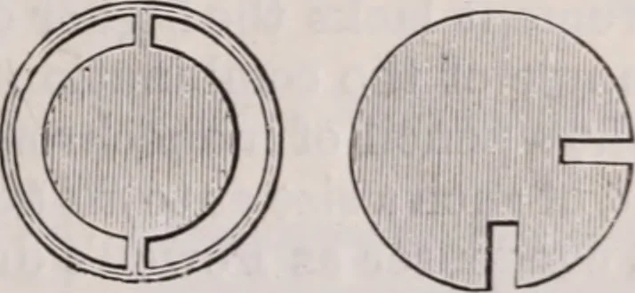An illustration from The microscope and its revelations, 1891, leaf 300