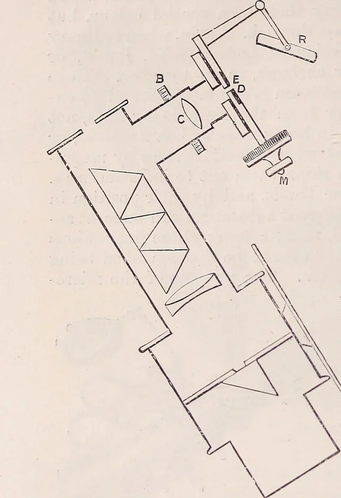 An illustration from The microscope and its revelations, 1891, leaf 303