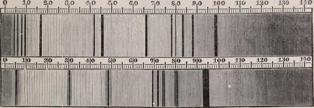An illustration from The microscope and its revelations, 1891, leaf 304