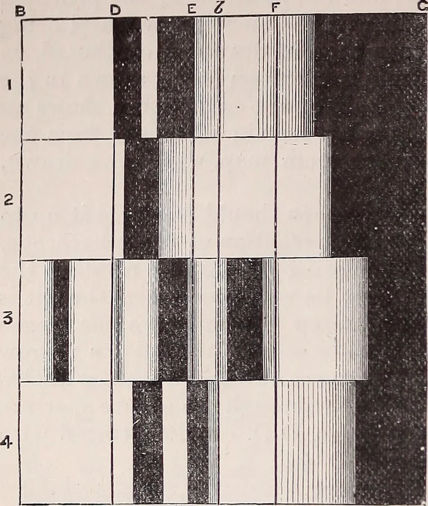 An illustration from The microscope and its revelations, 1891, leaf 305