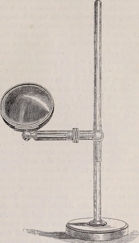 An illustration from The microscope and its revelations, 1891, leaf 308