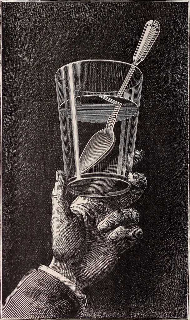 An illustration from The microscope and its revelations, 1891, leaf 31