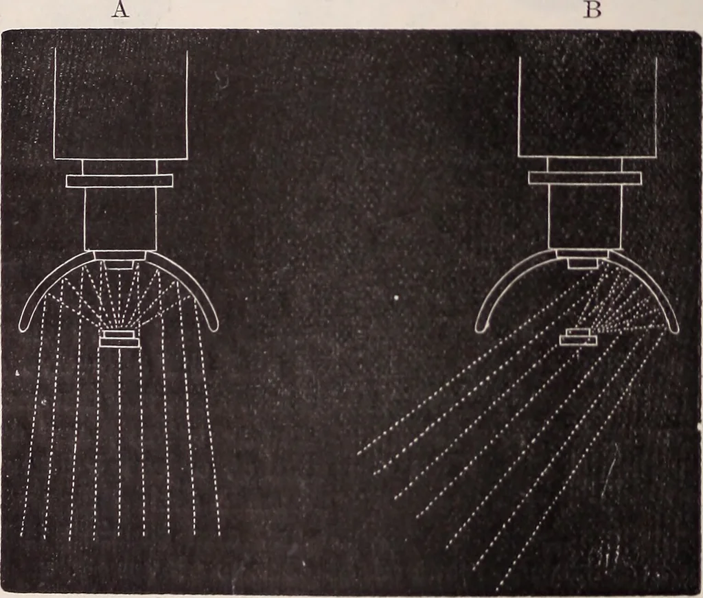 An illustration from The microscope and its revelations, 1891, leaf 311