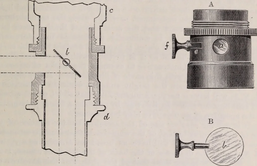 An illustration from The microscope and its revelations, 1891, leaf 316