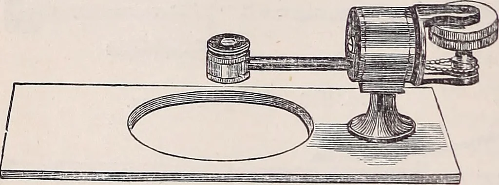 An illustration from The microscope and its revelations, 1891, leaf 319