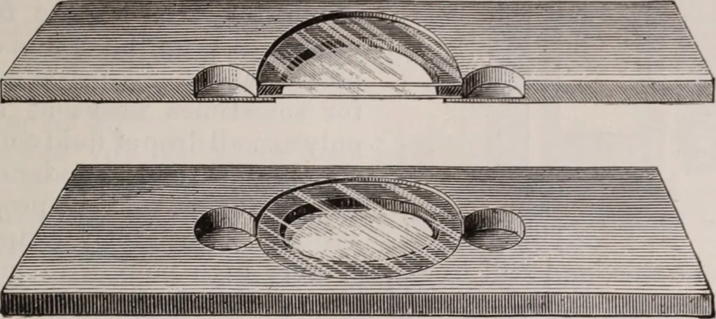 An illustration from The microscope and its revelations, 1891, leaf 320