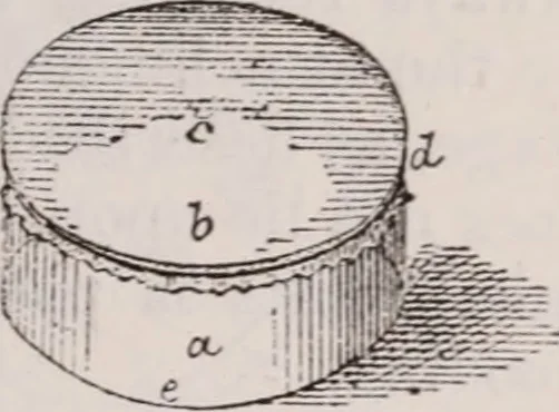 An illustration from The microscope and its revelations, 1891, leaf 322