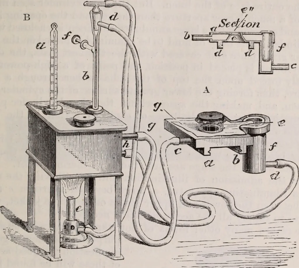 An illustration from The microscope and its revelations, 1891, leaf 324