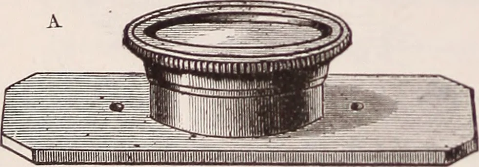 An illustration from The microscope and its revelations, 1891, leaf 325