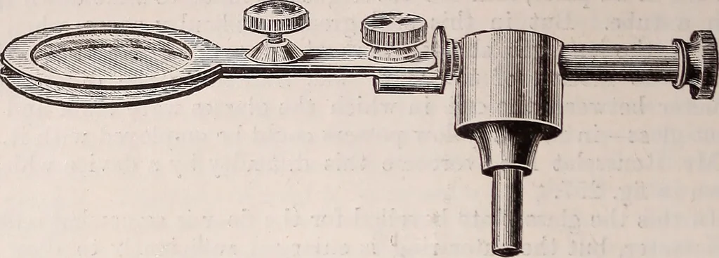 An illustration from The microscope and its revelations, 1891, leaf 327