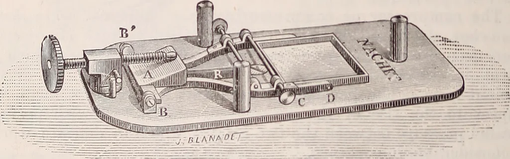 An illustration from The microscope and its revelations, 1891, leaf 327
