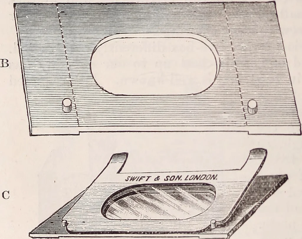 An illustration from The microscope and its revelations, 1891, leaf 329