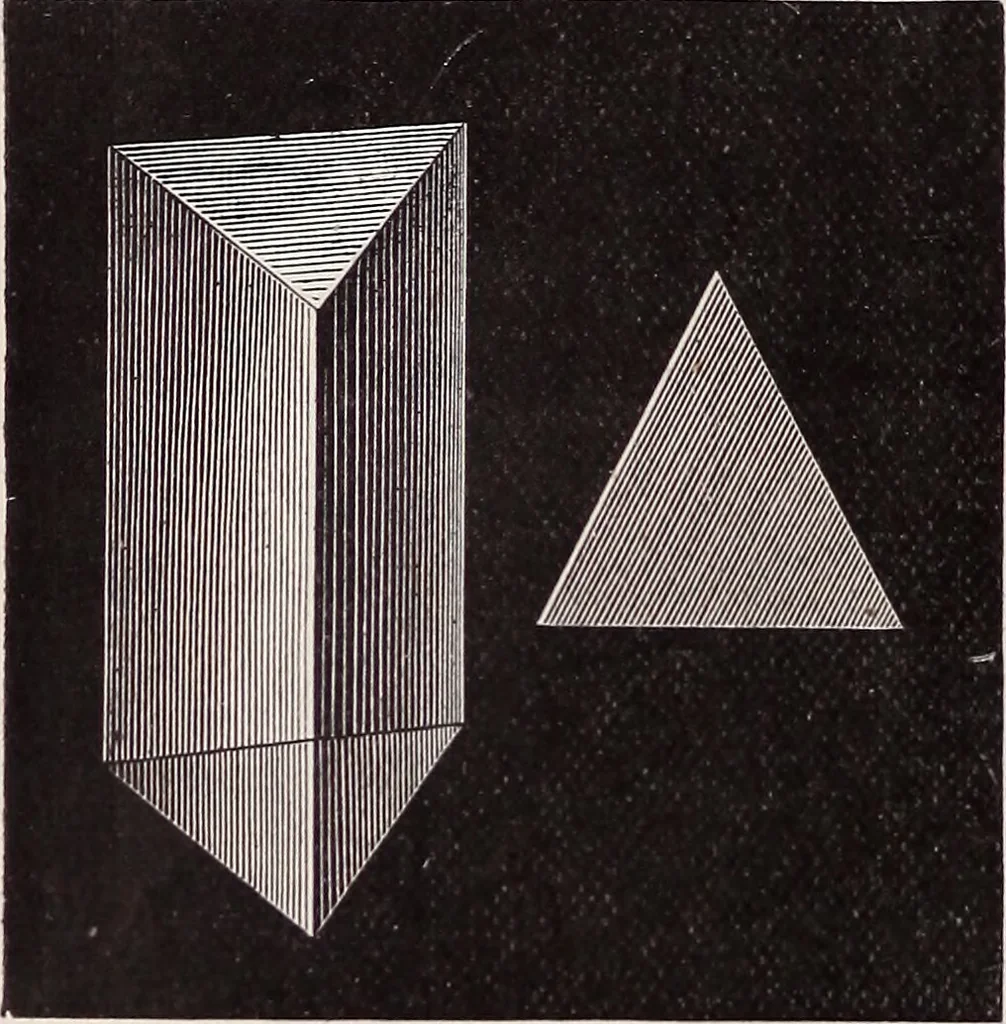 An illustration from The microscope and its revelations, 1891, leaf 33