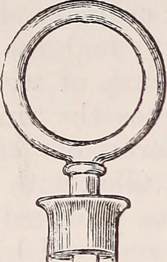 An illustration from The microscope and its revelations, 1891, leaf 331