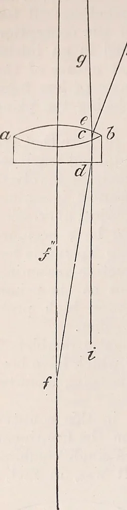 An illustration from The microscope and its revelations, 1891, leaf 335