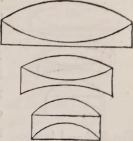 An illustration from The microscope and its revelations, 1891, leaf 340
