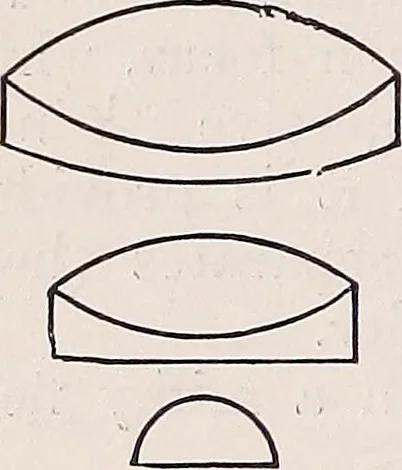 An illustration from The microscope and its revelations, 1891, leaf 341