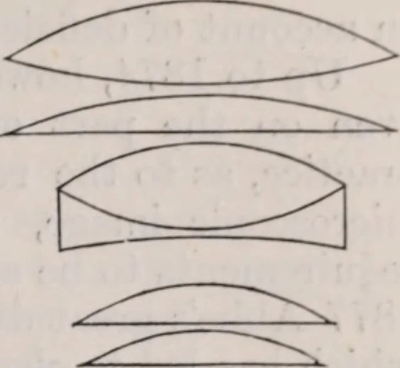 An illustration from The microscope and its revelations, 1891, leaf 342